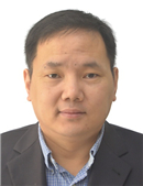 刘涛