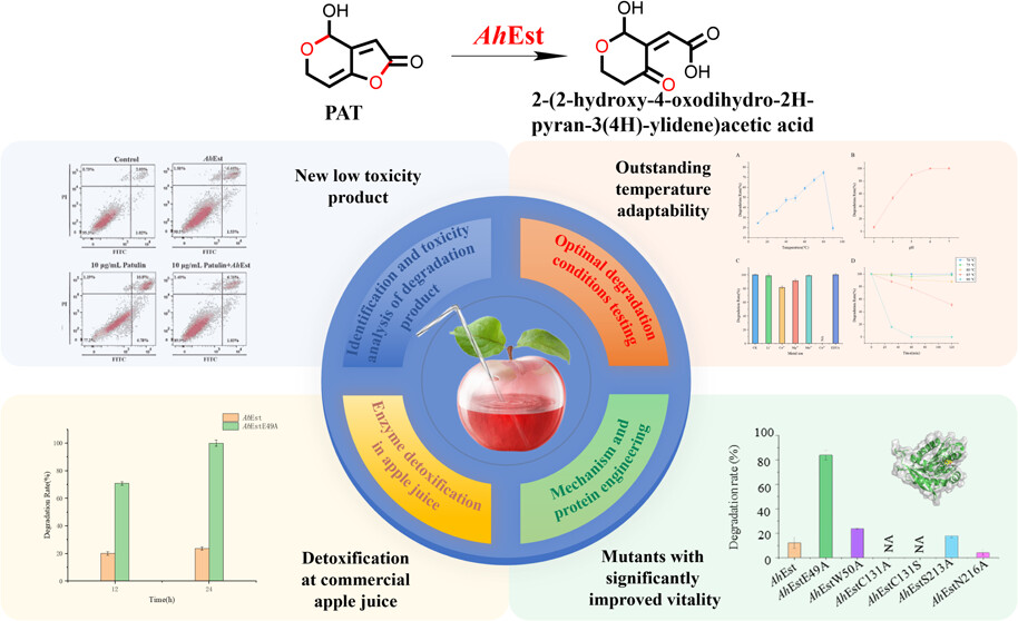 天津工生所等在霉菌毒素生物降解及传感检测方面取得新进展
